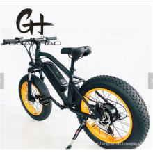 20inch Small Electric UK Ce OEM/ODM Fat Tire Electric Motorcycles 2020